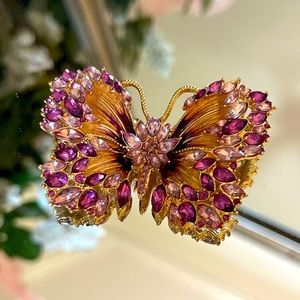 Beautiful Butterfly Pin